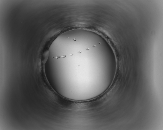 X0000088681402200706141346