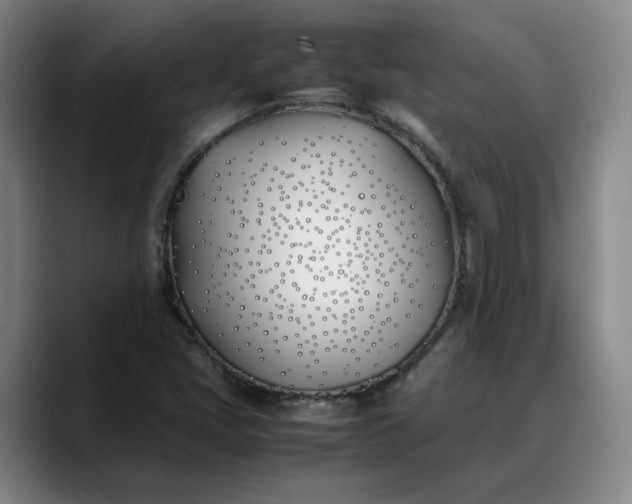X0000088681405200706141346