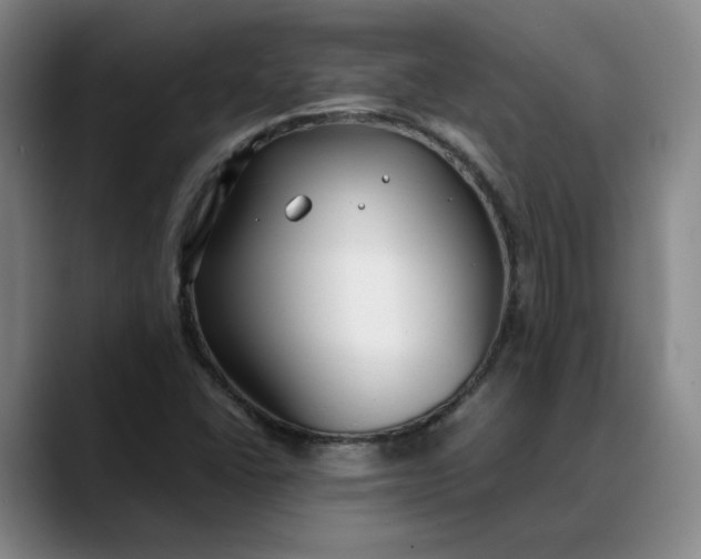 X0000088681406200706141346