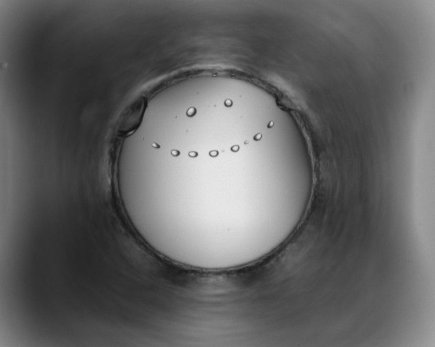 X0000088681408200706141346