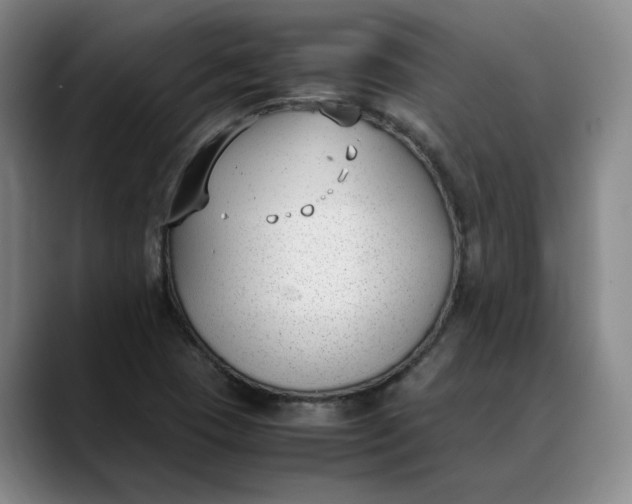 X0000088681409200706141346