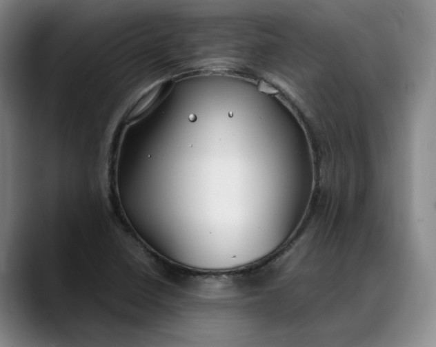 X0000088681410200706141346