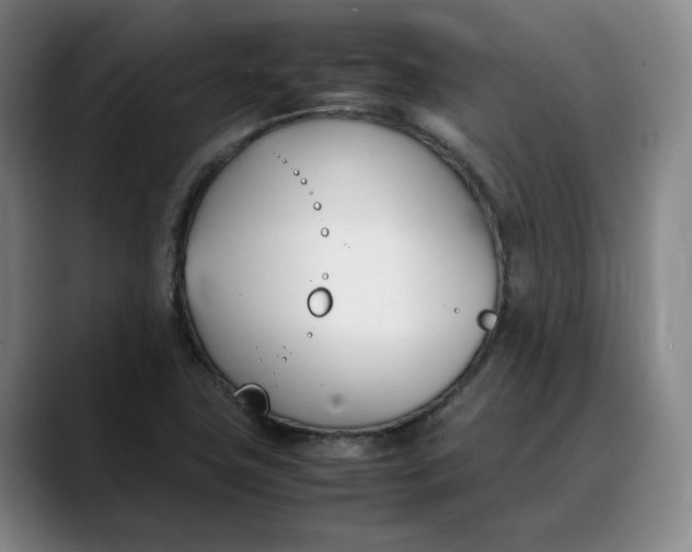 X0000088681411200706141346