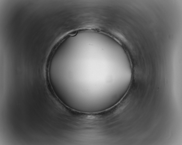 X0000088681412200706141346