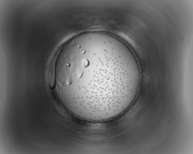 X0000088681413200706141346
