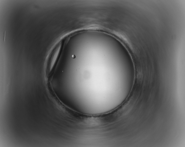 X0000088681414200706141346