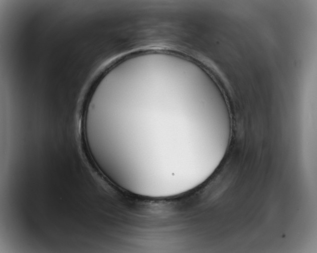 X0000088681416200706141346