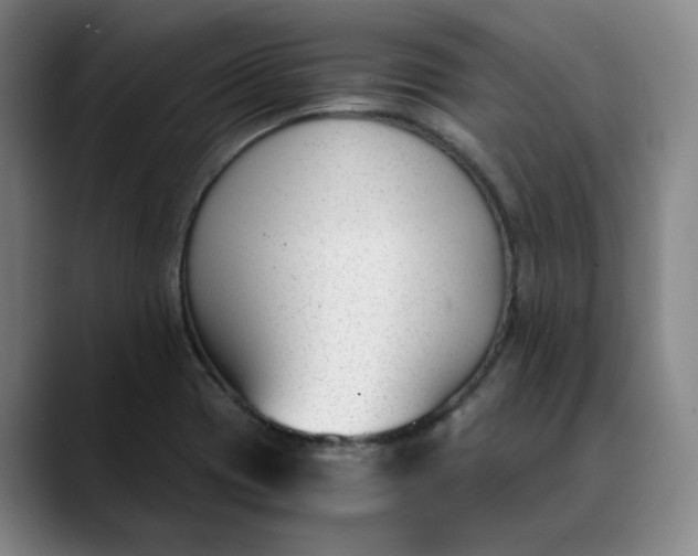 X0000088681417200706141346