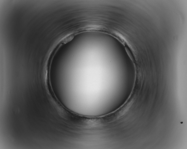 X0000088681418200706141346