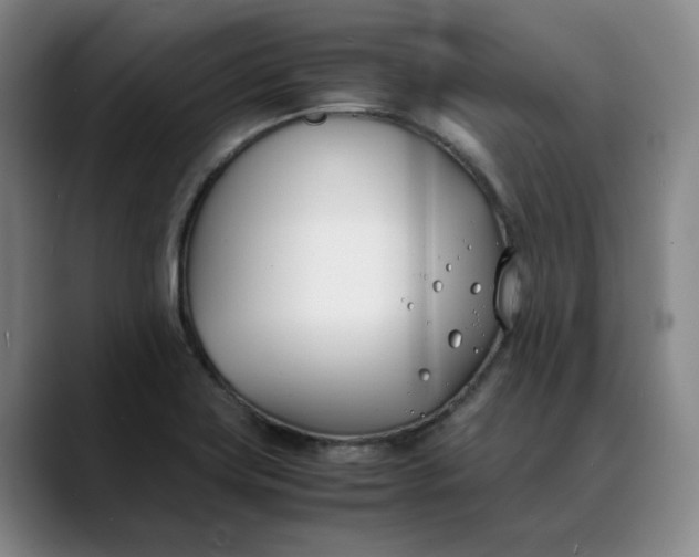 X0000088681419200706141346