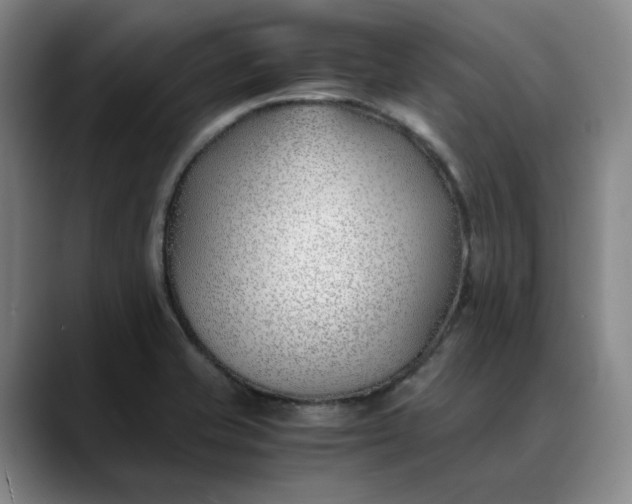X0000088681421200706141346