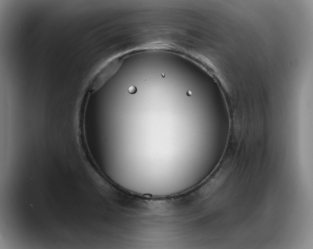 X0000088681422200706141346