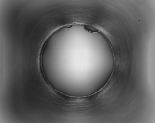 X0000088681423200706141346