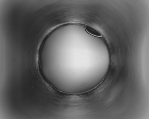X0000088681424200706141346