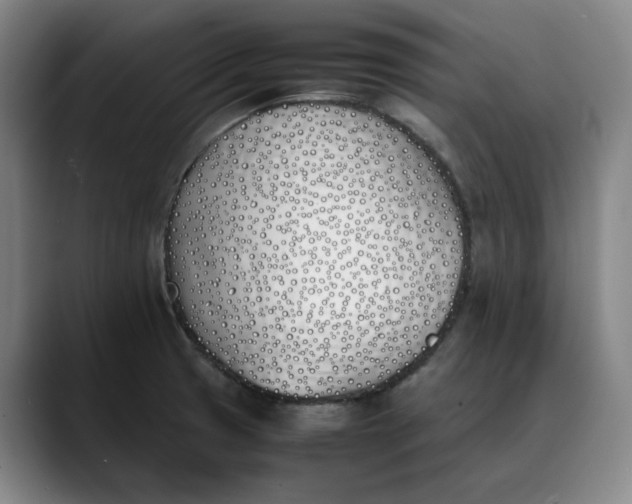 X0000088681425200706141346