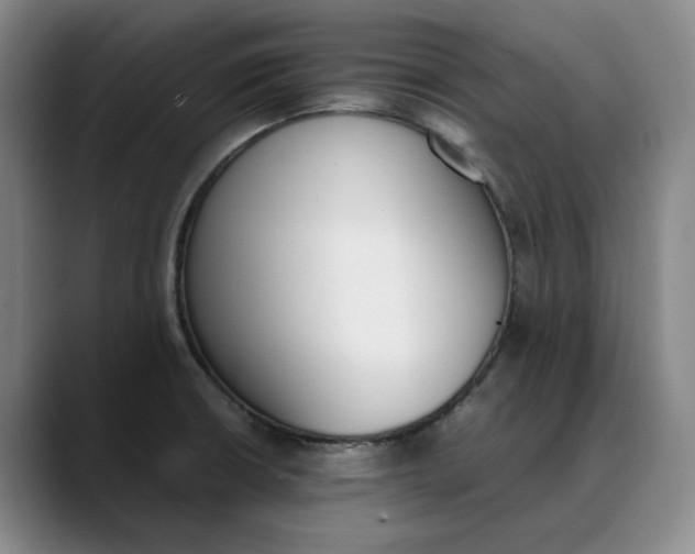 X0000088681426200706141346