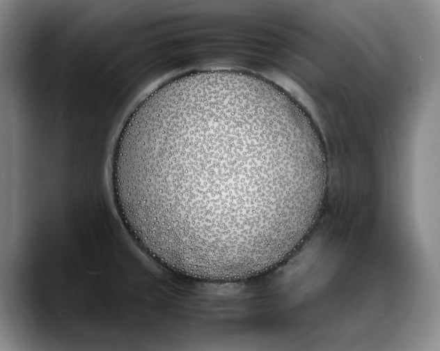 X0000088681429200706141346