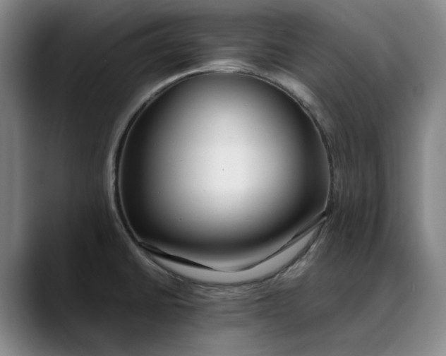 X0000088681430200706141346