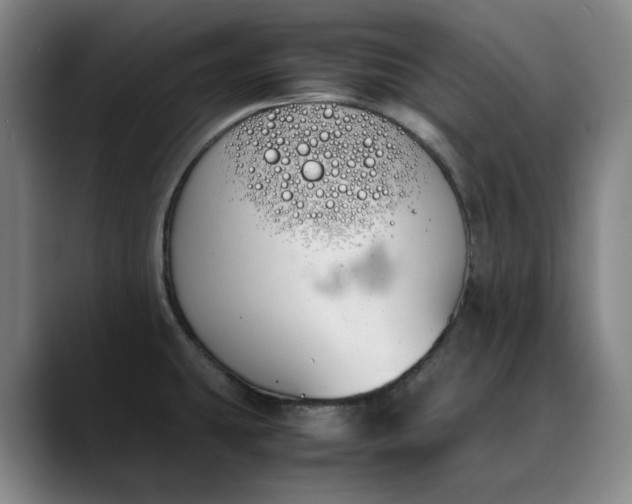 X0000088681431200706141346