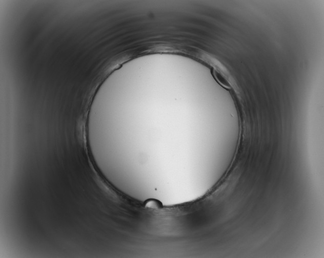 X0000088681433200706141346