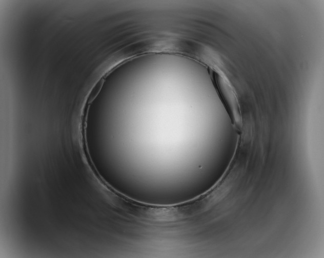 X0000088681434200706141346