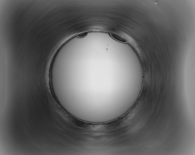X0000088681435200706141346