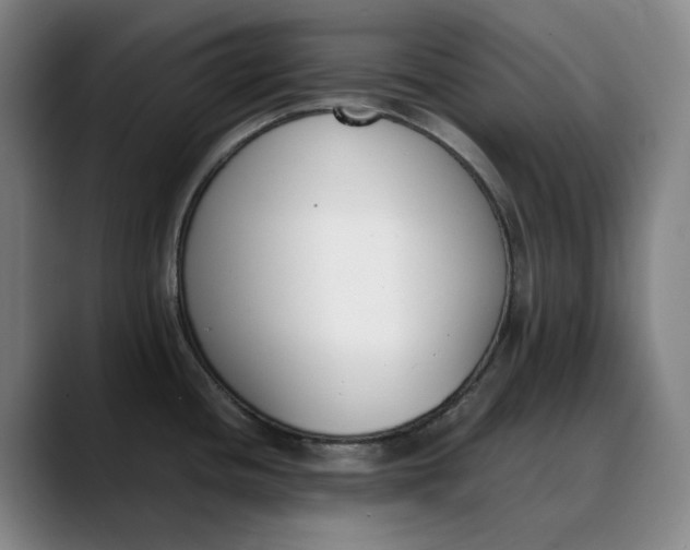 X0000088681436200706141346