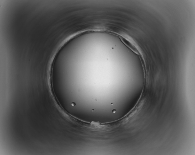 X0000088681437200706141346