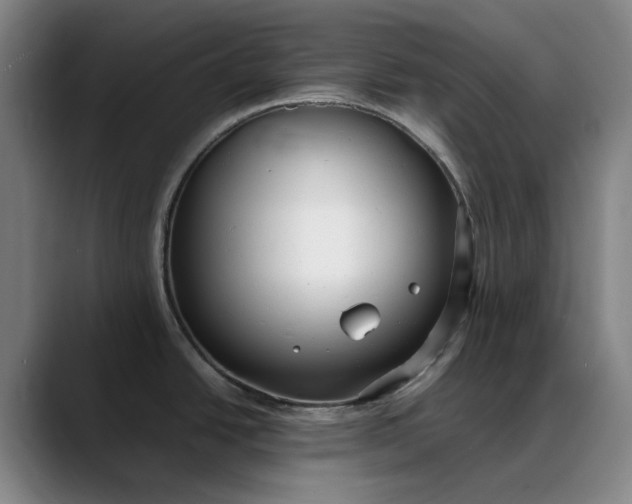 X0000088681438200706141346