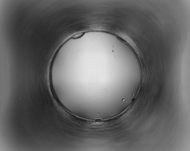 X0000088681439200706141346