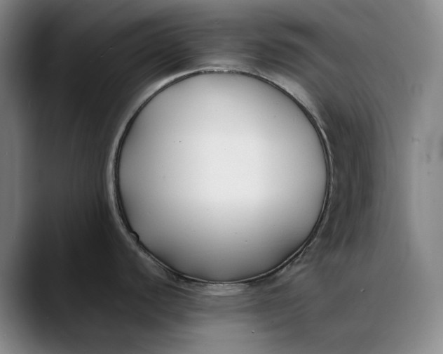 X0000088681440200706141346