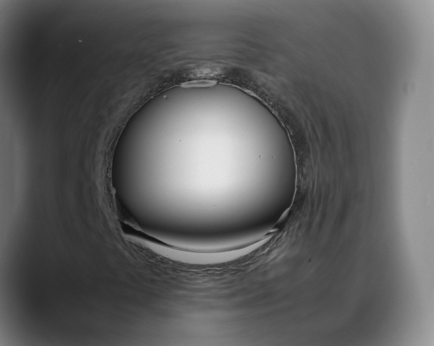 X0000088681441200706141346