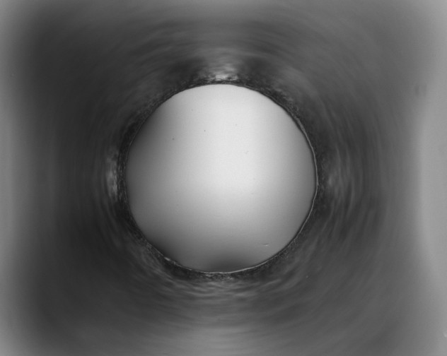 X0000088681442200706141346
