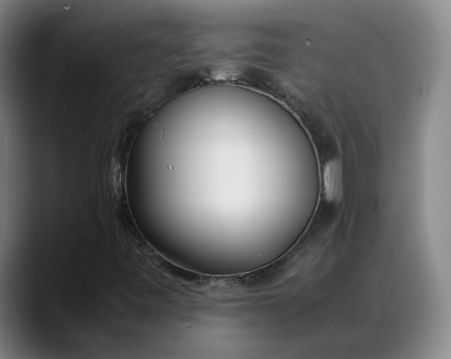 X0000088681443200706141346