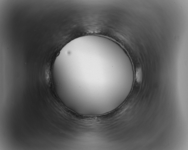 X0000088681444200706141346
