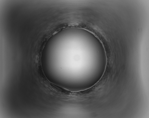 X0000088681445200706141346