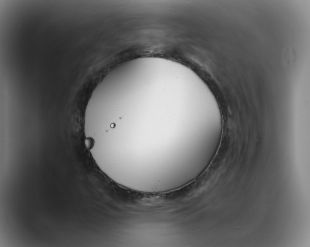 X0000088681447200706141346