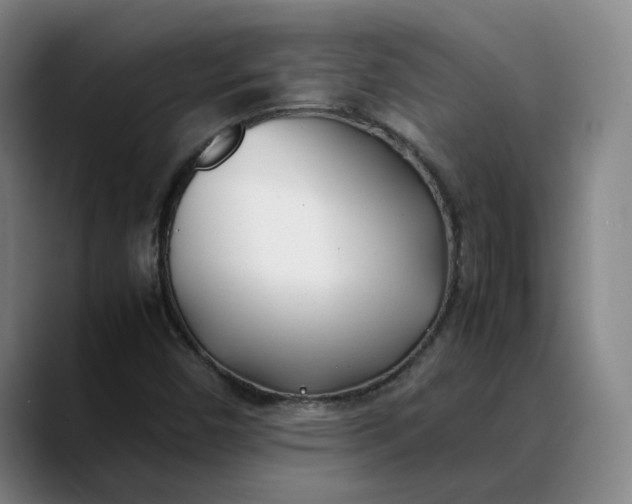 X0000088681450200706141346