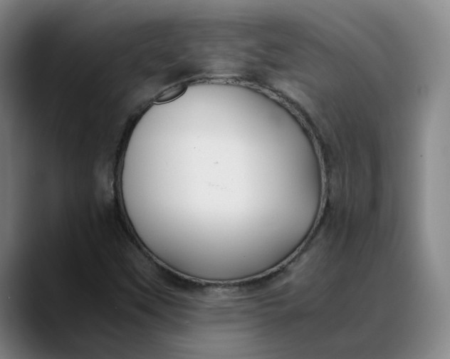 X0000088681451200706141346