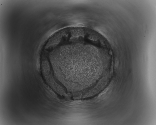 X0000088681455200706141346