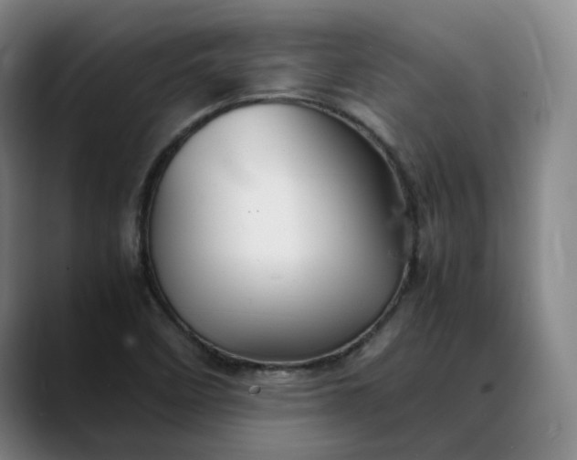 X0000088681458200706141345