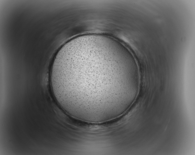 X0000088681459200706141345