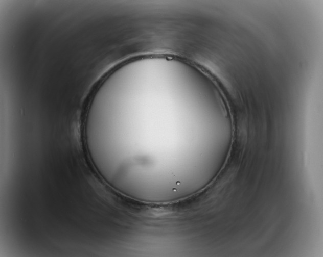 X0000088681460200706141345