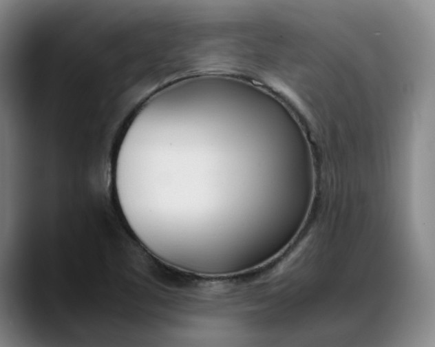 X0000088681461200706141345
