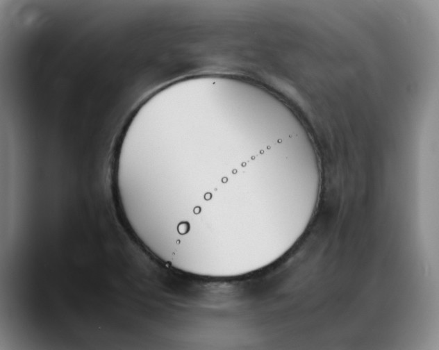 X0000088681463200706141345
