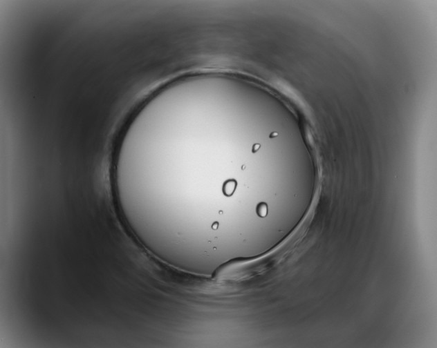 X0000088681464200706141345