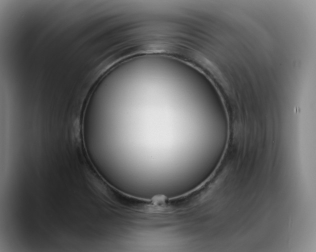X0000088681465200706141345