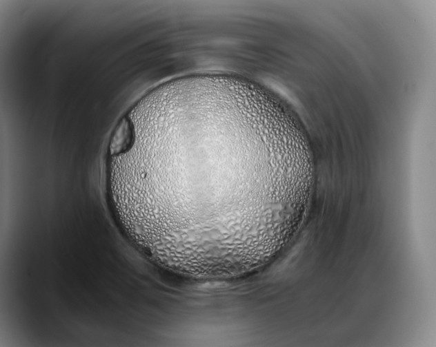 X0000088681467200706141345