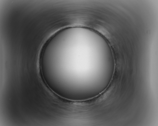 X0000088681469200706141345