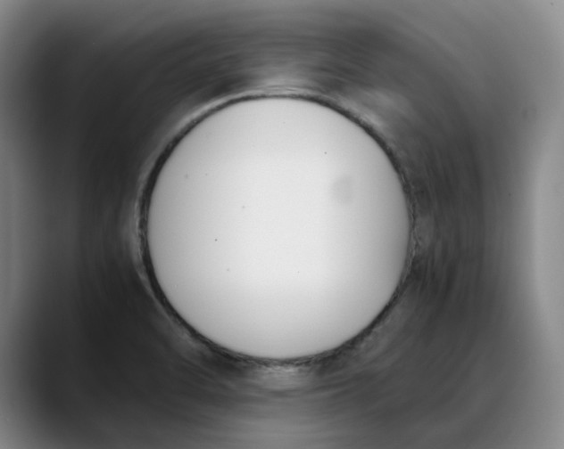 X0000088681470200706141345
